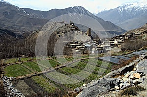 Village of Jhong, Muktinath District, Nepal