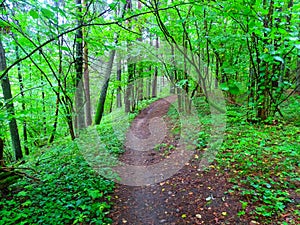 Village jogging trail at the very edge of the gully