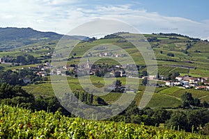 Village of JuliÃÂ©nas in the Beaujolais vineyard in the RhÃÂ´ne department in summer