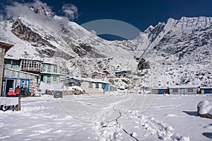 Village Kyangjin Gompa in winter