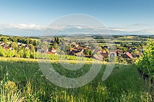 Rural landscape in canton Thurgau, Switzerland photo