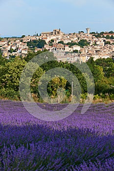 Village and lavender in Provence