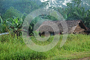 A village in Liberia