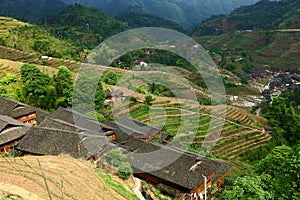 Village in Longji terrace ,Guilin