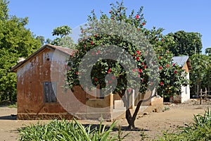 Village in Madagascar