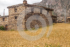 Village made of stones surrounded with wheat