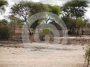 The village of the masses on the Tarangiri safari - Ngorongoro in Afric