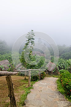 Village in the mist in the winter.