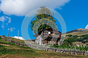 Village in mountains of Ajara, abandoned wooden houses