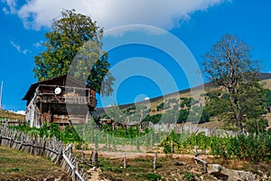 Village in mountains of Ajara, abandoned wooden houses