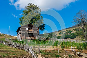 Village in mountains of Ajara, abandoned wooden houses