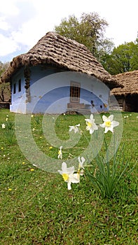 Village museum of Sibiu, Romania - exterior architectural design of rural areas, peasants houses