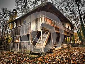 The Village Museum-Wonderful old wooden house in park in autumn season when falling from trees