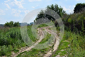 Village natural earth backroad with green grass and trees