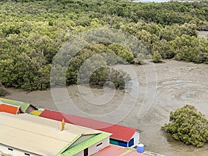 the village near the mangrove forest at Chachoengsao Thailand