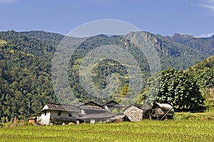 A village near Pokhara