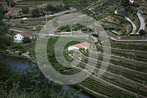 A village near a river on the hillsides of the Douro Valley, Portugal.