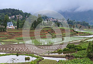 Village over terraced rice fields in Yunnan, China