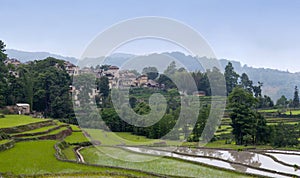 Village over terraced rice fields in Yunnan, China