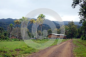 Village in Papua New Guinea