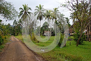 Village in Papua New Guinea photo