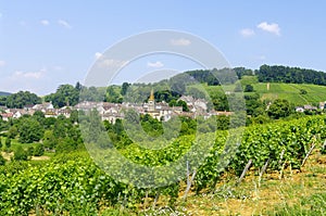 The village of Pernand Vergelesses in Burgundy