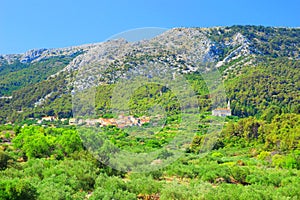 Village Pitve