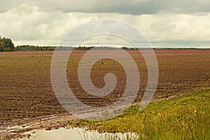 Village plowed field on a cloudy day