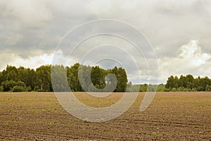 Village plowed field on a cloudy day