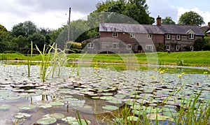 A Village Pond in Dorset ,UK