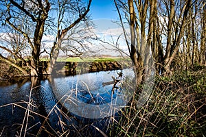 Village pond