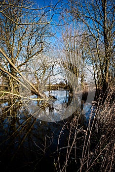 Village pond