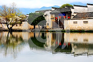 The village representative of Hui Style Architecture in China