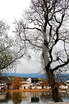 The village representative of Hui Style Architecture in China