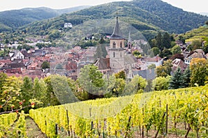 Village of Ribeauville