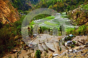 Village and rice field terraces