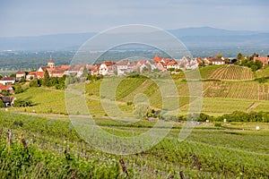 Village of Riquewihr in Alsace, France