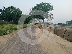 Village road empty way with unstable tree photo