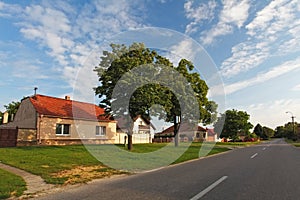Vesnická cesta s domy na Slovensku