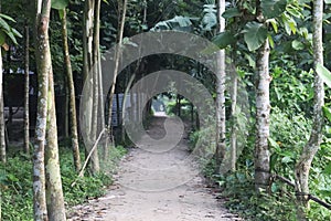 Village Road. Nature Landscape Village Road in Bangladesh