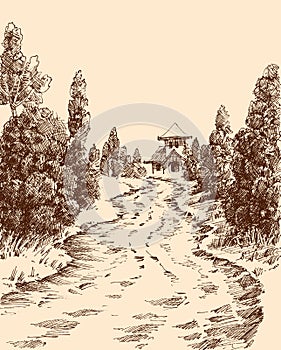 Village road or park alley hand drawing