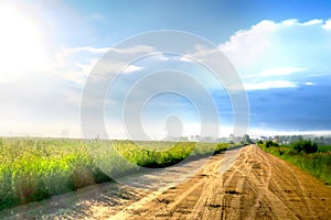 The village road on a sunny summer day.