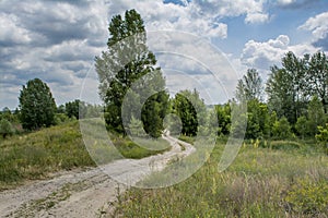 Village road among trees in the field during summer time