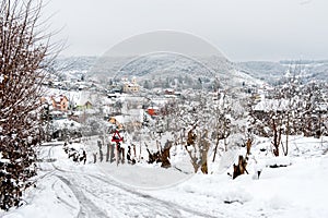 Village road in winter