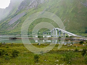 A village on the rocky shore of the fjord in Norway with traditional red houses. Asphalt road with a bridge across the Bay