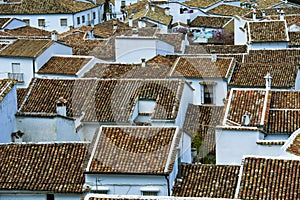 Village roofs