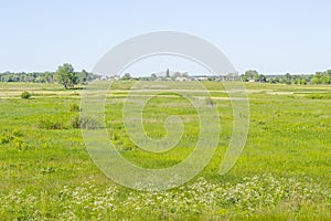 Village rural landscape with green field and country houses, summer meadow, grass on a pasture, field, nature background