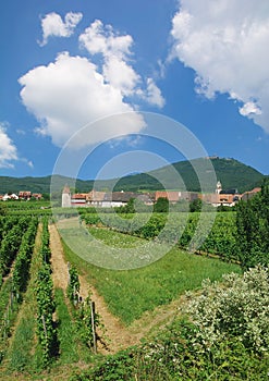 Village of Saint-Hippolyte,Grand Est,France photo