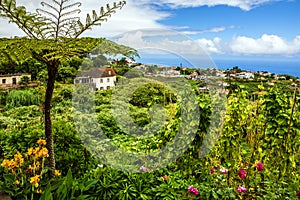 Village Santana, Madeira island, Portugal