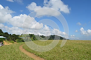 Village Scenario in Sajek, Khagrachori